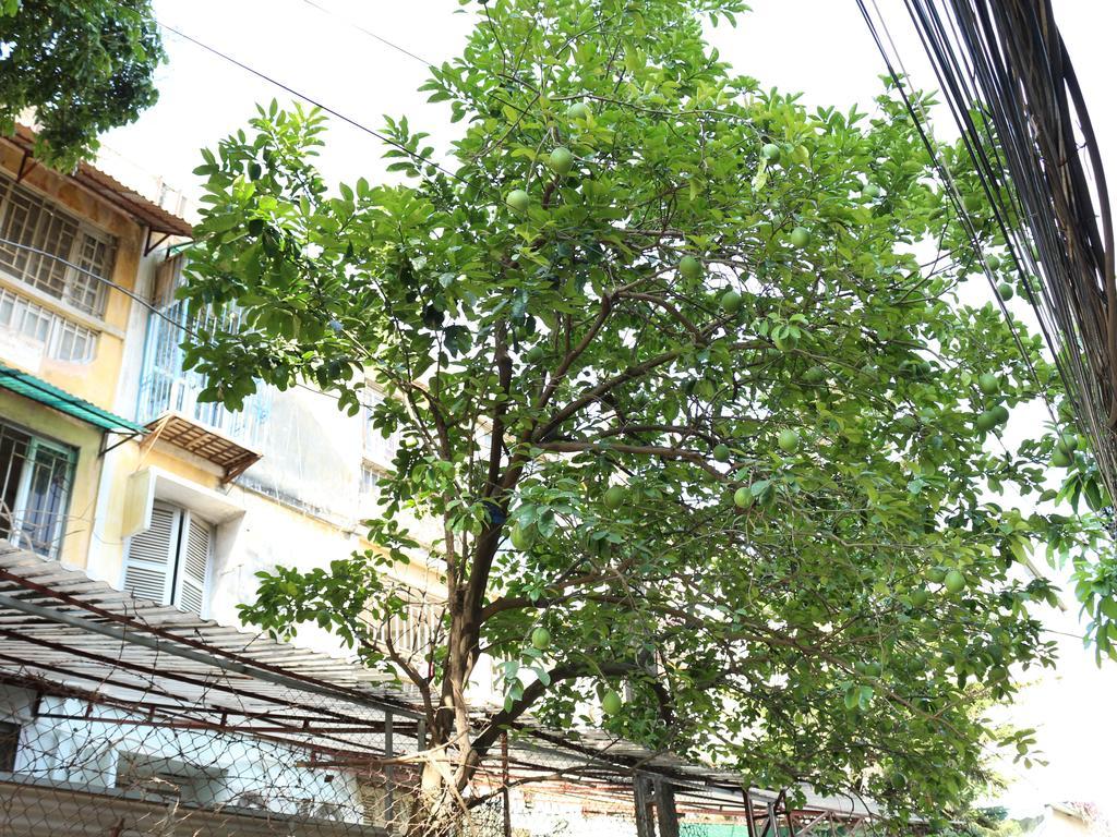 Palmo Hotel & Apartment 1 Ханой Екстер'єр фото